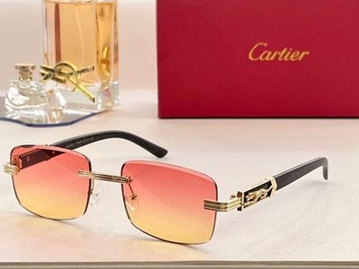 Cartier Sunglasses 776
